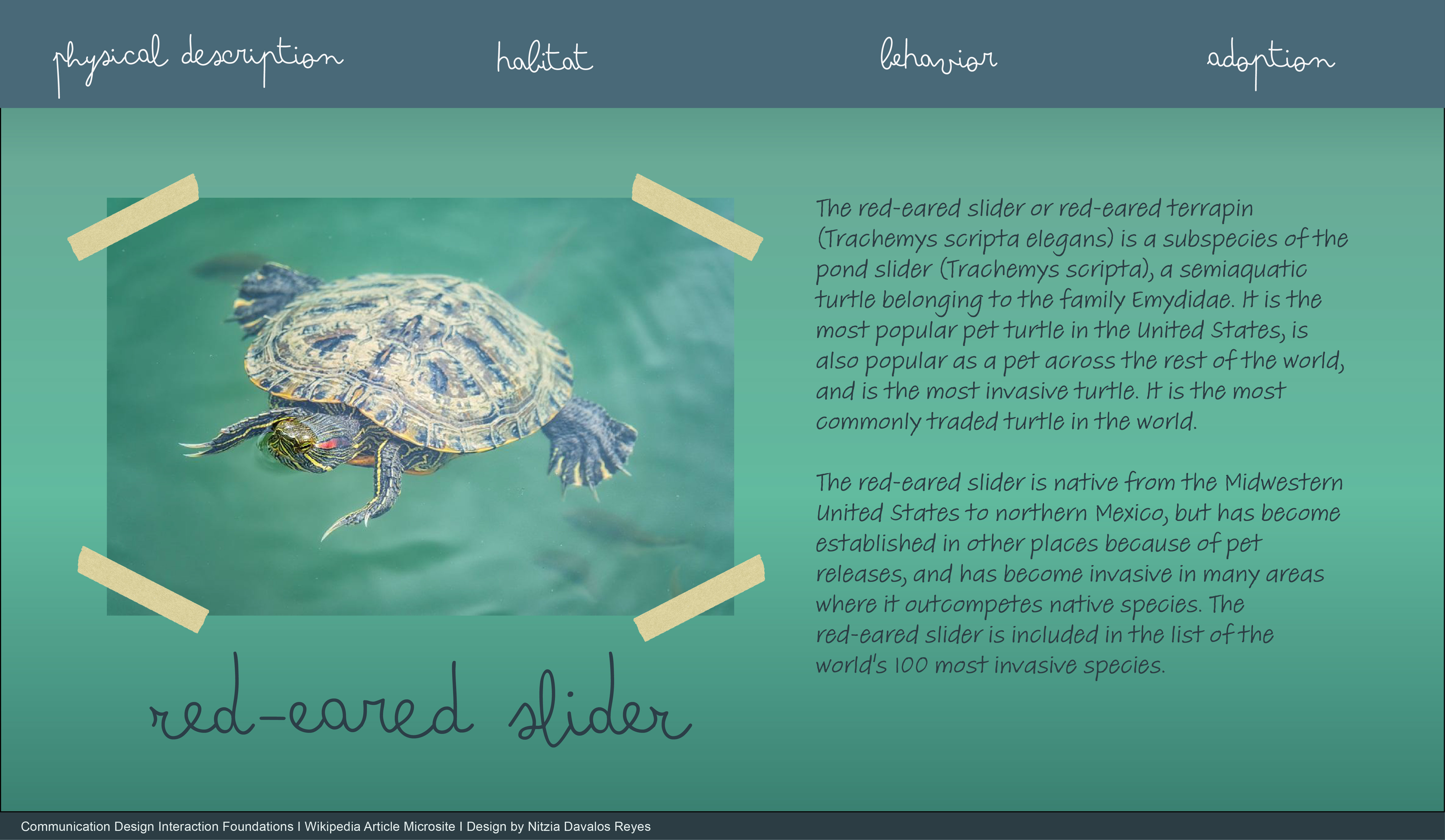 desktop view of microsite mockup B